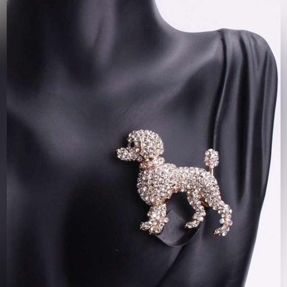 ✨NEW Rhinestones Elegant Crystal Dog 🐶 Poodle pet lover Brooch - Picture 1 of 5